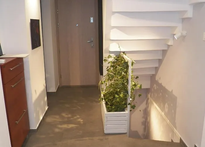 The Doubling Place Of Space And Time In Poland 公寓 *